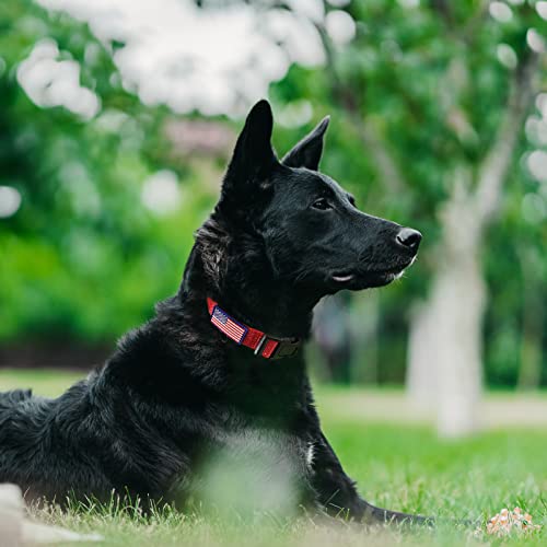 Martingale Dog Collar, Reflective No Pull Training Collar with Quick Release Buckle & USA Flag, Heavy-Duty Nylon, Adjustable for Small Medium Large Dogs (L,Red with Flag - color: Red with Flag, size: L (1" x 19"-26")