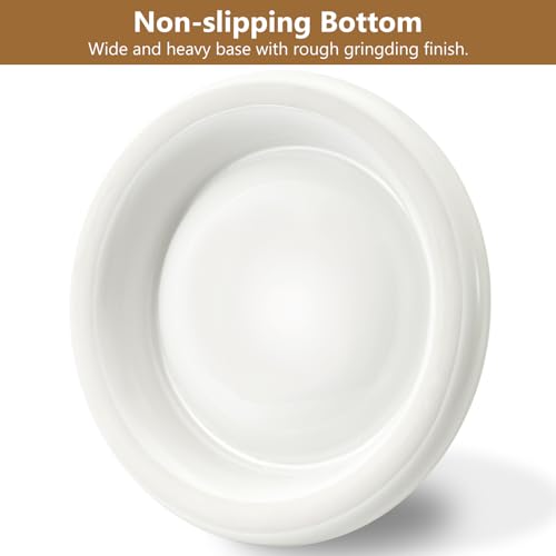 Ant Proof No Spill Ceramic Cat Food Bowls,15° Tilted Neck Support,Non-Slip Base,Easy Clean Pet Water Dishes for Cat and Small Dog Indoor or Outdoor Use(1 Pack)