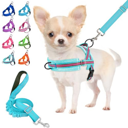 Lukovee No Pull Dog Harness and Leash Set, Soft Padded Small Dog Harness, Neck & Chest Adjustable Reflective Vest Puppy Harness with 4ft Lightweight Anti-Twist Dog Leash for Small Dogs (XXS, 01-LBL) - color: Light Blue - with Stripe, size: XXS ( Chest 11.