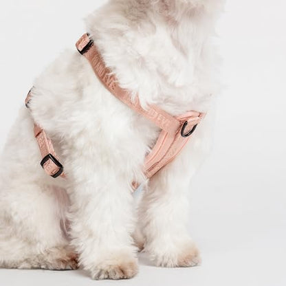 Fei & Eve Moxie Dog Harness for Small & Medium Dogs, Blush, XS | Lightweight Design, 3-Point No-Pull Control, Quick Release Metal Buckle - color: Blush, size: XS