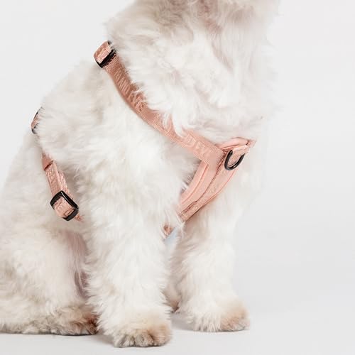 Fei & Eve Moxie Dog Harness for Small & Medium Dogs, Blush, M | Lightweight Design, 3-Point No-Pull Control, Quick Release Metal Buckle - color: Blush, size: M