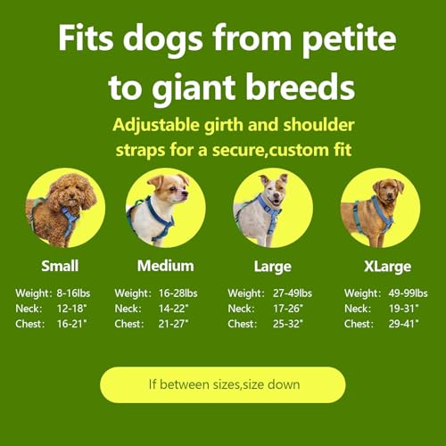 Roses&Poetry Dog Harness Medium Sized Dog, 6 Point Adjustable Fit No Pull Harness with Handle for Control and Easy Walking, Reflective Pet Halter Harnesses（Bluegreen-M） - color: BlueGreen, size: Medium