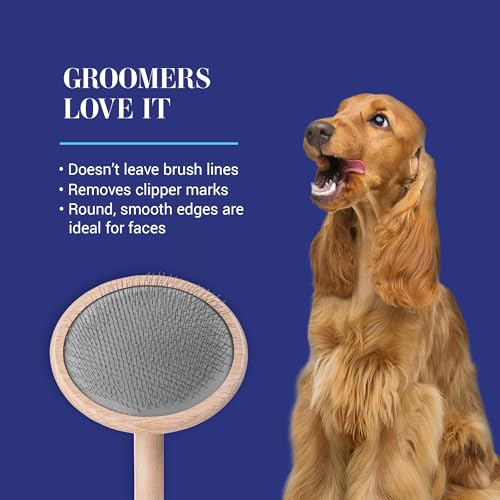 Chris Christensen Mark VIII Round Head Slicker Brush for Dogs, 12mm Pins, Groom Like a Pro, Handcrafted Lightweight Beechwood Ergonomic Handle, Stainless Steel Pins, A5VIII. Made in Germany. - size: Mark VIII Round