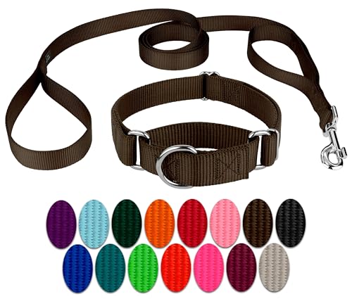 Country Brook Petz - Brown Martingale Heavyduty Nylon Dog Collar and Double Handle Leash (3/4 Inch, Small) - color: Brown, size: Small (Pack of 1)