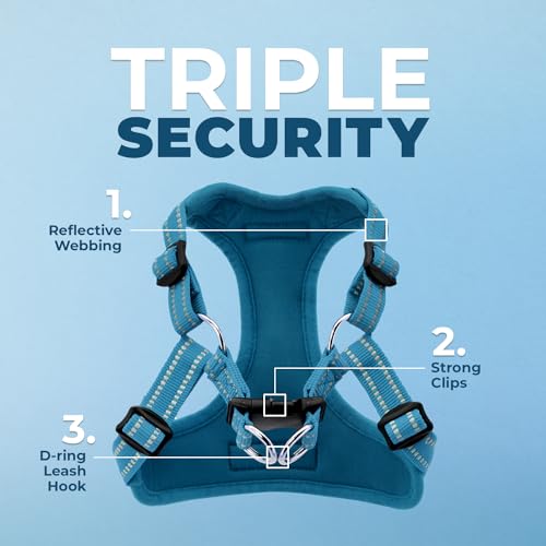 Best Pet Supplies Voyager Adjustable Step-in Flex Breathable Mesh Dog Harness for Small Medium Large Dogs (Turquoise), XS - color: Harness (Turquoise), size: XS
