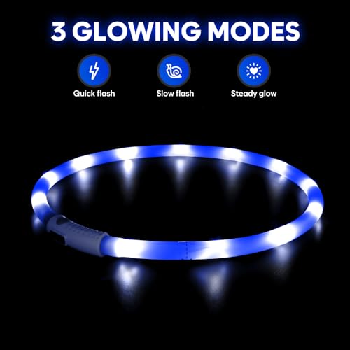 HIGO Light Up Dog Collar, Lightweight LED Dog Collar for Dogs Cats, USB Rechargeable LED Dog Necklace Light Makes Your Beloved Dogs Glow in the Dark (Blue-Silicone) - color: Blue-Silicone