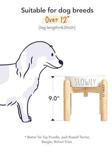 LE TAUCI PET Ceramic Slow Feeder Dog Bowls Elevated, 3 Cups Raised Dog Bowl with Wooden Stand for Medium Large Breed to Slow Down Eating, Puzzle Food Bowl,White - color: White+Stand, size: L-3 Cups
