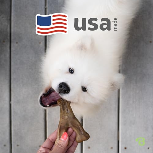 Benebone Wishbone Durable Dog Chew Toy for Aggressive Chewers, Real Bacon Made in USA, Tiny - size: Tiny