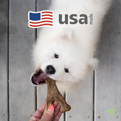 Benebone Wishbone Durable Dog Chew Toy for Aggressive Chewers, Real Bacon Made in USA, Tiny - size: Tiny