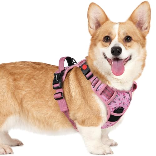 rabbitgoo Dog Harness Small Sized, No Pull Easy On & Off with 3 Buckles Pet Harness, Adjustable Soft Walking Vest with 2 Clips and Handle, Reflective for Small Dogs, Floral Pink, S - color: Floral Pink, size: Small