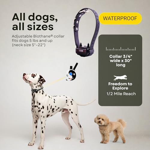E-Collar ET-300 / ET-302 Dog Training Collar System with Remote - 1/2 Mile Range - Waterproof, Vibration, Sensation - Includes eOutletDeals Pet Towel (1 Dog System - ET-300 Zen) - size: 1 Dog System - ET-300 ZEN
