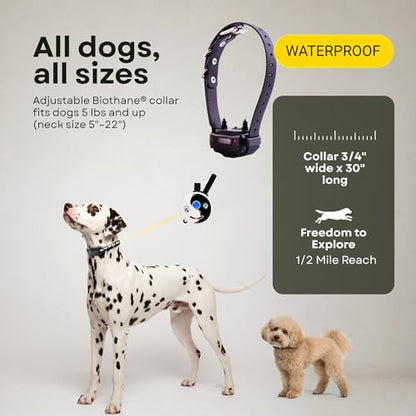 E-Collar ET-300 / ET-302 Dog Training Collar System with Remote - 1/2 Mile Range - Waterproof, Vibration, Sensation - Includes eOutletDeals Pet Towel (1 Dog System - ET-300 Zen) - size: 1 Dog System - ET-300 ZEN