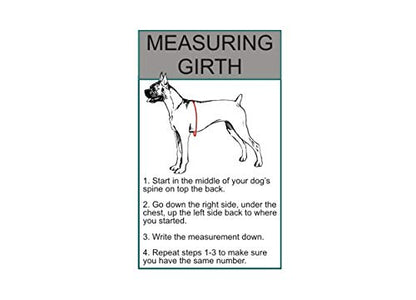 Doggie Stylz Set of 2 Reflective Deaf Dog Removable Patches with Hook Backing for Working Dog Harnesses & Vests. Durable and Interchangeable - Comes in 3 Sizes Small, Medium and Large - size: Medium 4" X 1.5"