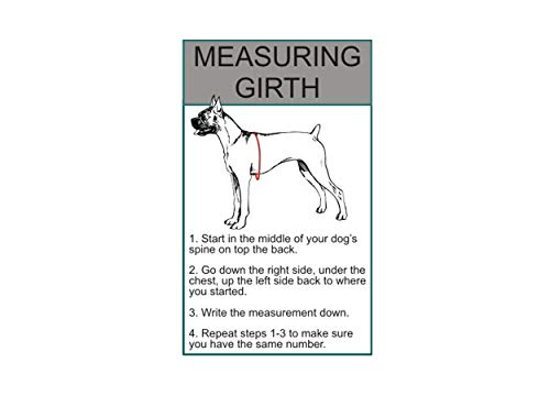 Doggie Stylz Set of 2 Reflective Deaf Dog Removable Patches with Hook Backing for Working Dog Harnesses & Vests. Durable and Interchangeable - Comes in 3 Sizes Small, Medium and Large - size: Small 3"x1"