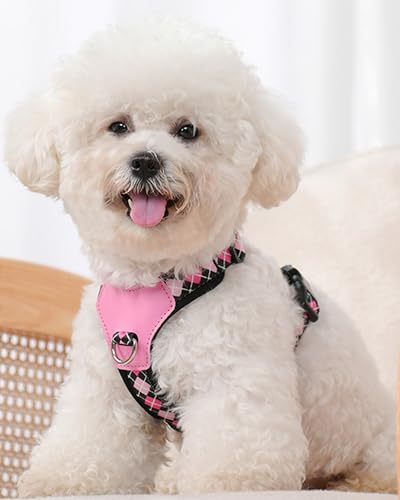 Petank Black Small Dog Harness for Small Dogs, No Pull Dog Harness with 2 Leash Clips, Puppy Harness, Adjustable Dog Vest Harness (Black, S) - color: Black, size: S