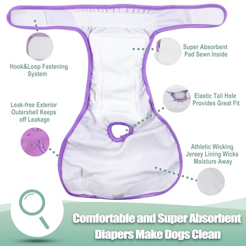 wegreeco Washable Reusable Premium Female Dog Diapers, Small Medium Large Size, Pack of 3,Dog Doggie Puppy & Doggy Diapers Female,Period Panties in Heat (Small) - color: Bright Color, size: Small