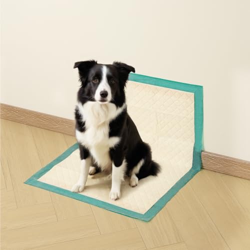 Gardner Pet Dog Pee Pads Extra Large 22"x37", 30 Count, Puppy Pee Pads with Adhesive Sticky Tape, Leak Prevention Disposable Training Bed Pads for Doggie, Cat, Rabbit, Suitable for Crate/Cage - size: 22" x 37" (30 Ct)