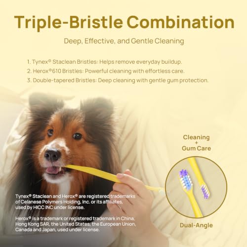 HICC PET Toothbrush for Dogs & Large Cats, Ergonomic Pet Toothbrush for Easy Teeth Cleaning,Gentle on Gums, Cat & Dog Dental Care – Toothpaste Not Included - color: Yellow for Dogs & Large Cats
