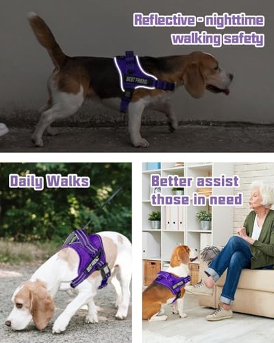 AUROTH Dog Harness and Leash Set, Soft Padded Service Dog Vest with 5.25FT Dog Leash, No Choke, Easy On Pet Vest, Adjustable Reflective No Pull Dog Harness Small Sized Dog, Easy Walking and Training - color: Purple, size: Small