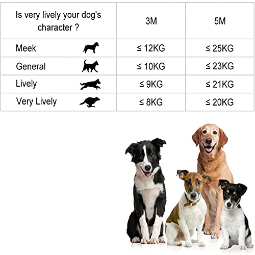 Retractable Dog Leash for Small Medium Dogs up to 88lbs, 10/16Ft Strong Nylon Tape, One-Handed Brake, Pause, Lock(Brown,3m) - color: Brown, size: 3m