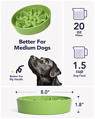 LE TAUCI Slow Feeder Dog Bowls Ceramic, 1.5 Cups Dog Food Bowl, Puppy Slow Feeder Dish for Fast Eaters, Clover Green - color: Clover Green, size: M-1.5 Cups