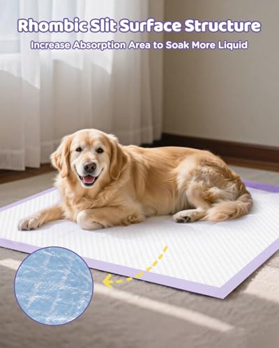 iweepet 36"x36" 4XL Lavender Scented Disposable Dog Pee Pads, 45 Count | Extra Large Puppy Training Pads with 6-Layer Super Absorbent Protection, Leakproof Puppy Pads for Large Dogs & Senior Pets - size: 36"x36" Lavender(45counts)