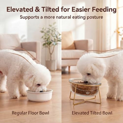 Large Glass Tilted Elevated Cat Dog Bowl Raised Cat Food Water Bowl Dish Pet Comfort Feeding Bowls with Gold Iron Stand - color: Glass, size: Large