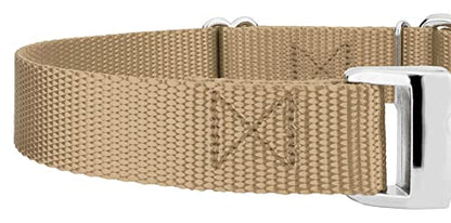 Country Brook Petz - Martingale Dog Collar - Heavy Duty Nylon Adjustable Martingale Dog Collar with Premium Buckle for Small Medium Large Breeds (5/8 Inch, Extra Small, Copper Gold) - color: Copper Gold, size: Extra Small (Pack of 1)
