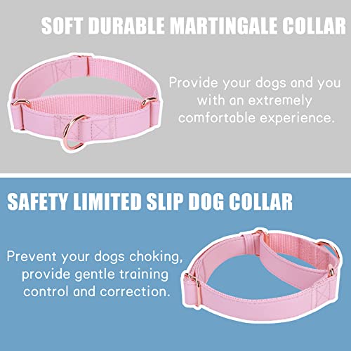 Soft Leather Martingale Dog Collar - Adjustable Rose Gold Limited Slip Collars [Easy to Clean], Stylish Durable Heavy Duty Nylon No Pull Training Collar for Small Medium Large Dogs (S, Set Pink) - color: Set Pink, size: S (Neck 10"-15", Width 4/5")