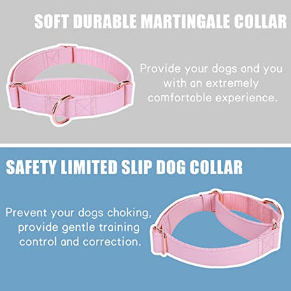 Soft Leather Martingale Dog Collar - Adjustable Rose Gold Limited Slip Collars [Easy to Clean], Stylish Durable Heavy Duty Nylon No Pull Training Collar for Small Medium Large Dogs (S, Set Pink) - color: Set Pink, size: S (Neck 10"-15", Width 4/5")