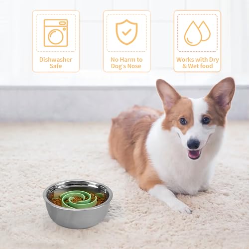 Slow Feeder Dog Bowls Insert, Bestalk Soft Silicone Slow Eating Feeder Insert with Suction Cups for Small, Medium and Large Dogs, Fit into Basic and Elevated Dog Bowls, Green - color: Green, size: M