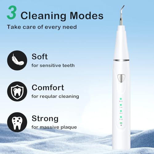 Plaque Remover for Teeth, Pet Ultrasonic Cleaner, Dog Plaque and Tartar Remover with LED Light, Dog Teeth Cleaning Dental Care Kit for Tartar and Stains, Suitable for Dogs and Cats (White) - color: White