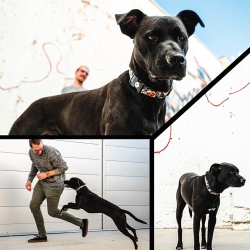 Wolfgang Heavy Duty, Adjustable Dog Collar with Quick Release Nylon Buckle for Walking & Training, LosMuertos Print, Small - color: LosMuertos Print, size: Small (5/8 Inch x 8-12 Inch)