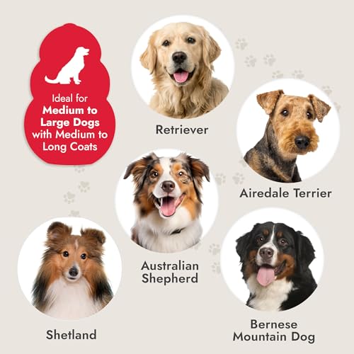 KONG Double-Sided Flexible Slicker Brush – De-Shedding & Detangling Tool, Padded Grip, Long Metal Pins, Flexible Head, for Medium to Large Dogs with Medium to Long Coats, Red/Gray - size: Medium Double-Sided Flexible Slicker