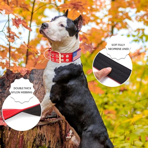 Heavy Duty Tactical Dog Collar with Neoprene Padded and Metal Buckle, Reflective Nylon for Medium to Large Dogs(Red, Medium) - color: Red, size: Medium (Pack of 1)