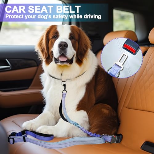 Heavy Duty Hands Free Dog Leash with Quick Release Carabiner and Adjustable No Pull Bungee Dog Running Waist Leash，for Walking and Training with Car Seat Belt 4-6FT (Aurora Purple) - color: Aurora Purple