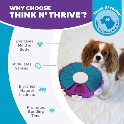 Outward Hound by Nina Ottosson Dog Twister – Interactive Treat Puzzle Enrichment Toy, Level 3 Advanced - color: Dog Twister (Purple, Blue)
