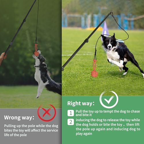 Flirt Pole for Dogs, Interactive Toys Tug-of-war for Pet, Durable Teaser Wand, Chase Toys with Rope Chewing Sticks, for Outdoor Exercise & Training - size: 2 switch-40.2Inch