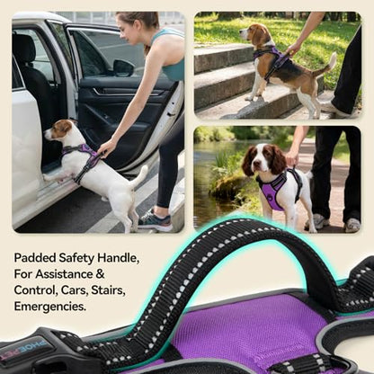 PHOEPET No Pull Dog Harnesses for Small Puppies Reflective Adjustable Front Clip Vest with 2 Metal Leash Attachment Hooks Soft Handle(S, Purple) - color: Purple, size: Small