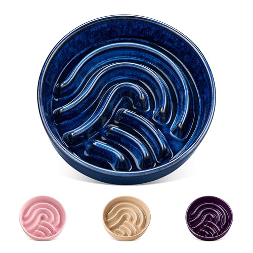 vancasso Slow Feeder Dog Bowl, 0.6 Cup Ceramic Slow Feeding Food Dish for Small Breed, Puzzle Dog Food Bowl for Fast Eater, Blue - color: Blue, size: S - 0.6 Cups