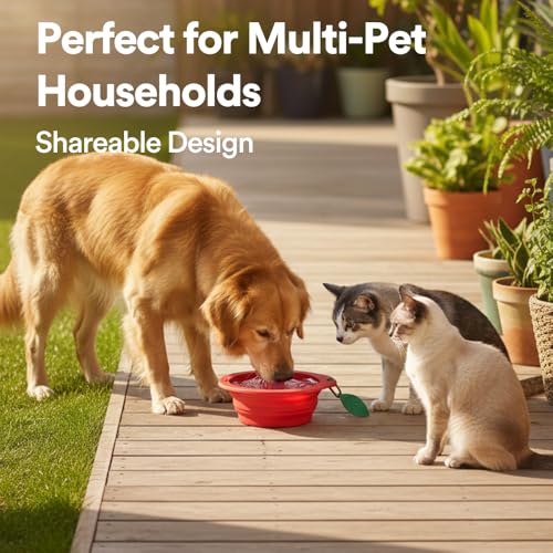 Collapsible Silicone Dog Bowl (Red) - color: Red