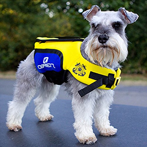 O'Brien Pet Life Vest - size: X-Small