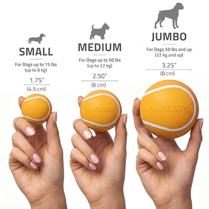 Playology Dog Toys | Squeaky Chew Ball for Dogs| Cheddar Cheese Scented Medium Dog Ball | Bouncy Floating Dog Balls - size: Medium, style: Cheddar Cheese