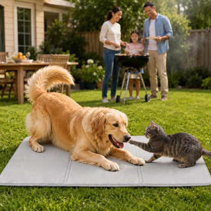 51.2"×23.6" Waterproof Dog Car Bed Mat for Backseat Extenders | Memory Foam Dog Mat, Waterproof Rubber Bottom Non-Slip Pet Cushion, Washable Coral Fleece Pad , Multi-Use for Sofa Bed Yoga
