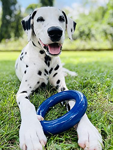 Tuff Pupper SuperChewer Tough Dog Ring Toy | Lifetime Replacement | Strong Natural Rubber | Chew Toys for Aggressive Chewers | Durable Tug Play | Strong Dog Ring Toy | Large Breed Tested - size: Large