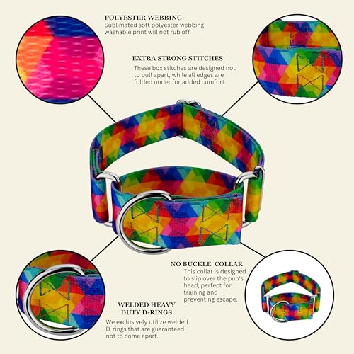 Country Brook Petz - HossFit Jr Wide Martingale Dog Collar - Groovy Collection Featuring Far Out Designs (Kaleidoscope, Large) - color: Kaleidoscope, size: Large (Pack of 1)