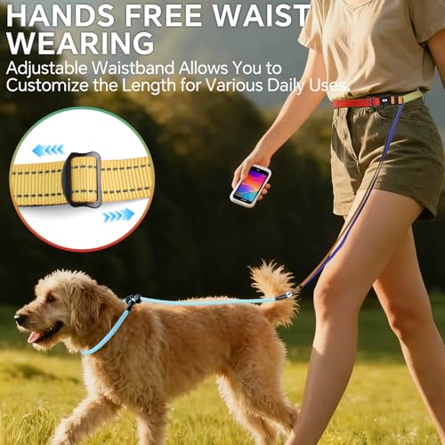 QQPETS Adjustable Slip Lead Dog Leash, Hands Free Waist Leash for Dog Walking, Reflective Training Lead with 360° Swivel Anti-Tangle, 4-7 ft Length for All Breeds - color: Vibrant Gradient