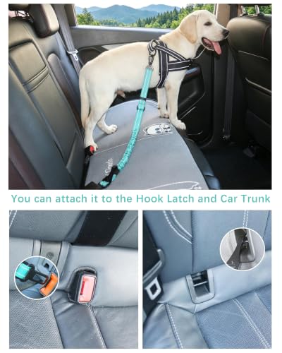 AUBELL Dog Seat Belt for Car,Updated 3-in-1 Adjustable Reflective Bungee Heavy Duty Dog Car Harness Tether with Clip Hook Latch & Buckle,Swivel Zinc Alloy Carabiner,Teal - color: Teal