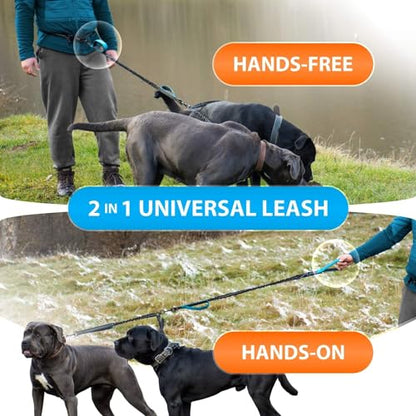 SparklyPets - Hands Free Dual Dog Leash for Medium and Large Male Dogs - Padded Handles, Reflective Stitches, No Pull, Tangle Free - Walking, Hiking, Jogging, Canicross Waist Leash - Gradient Blue - color: Gradient Blue, size: 2 dogs M/L