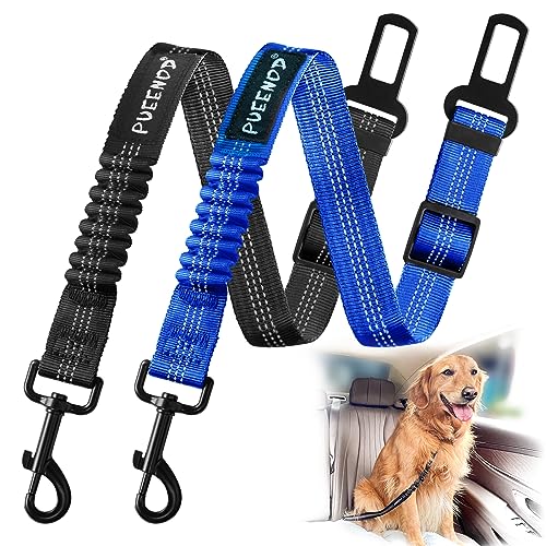 2 Pack Dog Seat Belt Adjustable Dog Car Seatbelts for Vehicle Nylon Pet Safety Seat Belt with Elastic Bungee Buffer Reflective & Durable Car Harness for Dogs… (Black + Blue) - color: Black + Blue